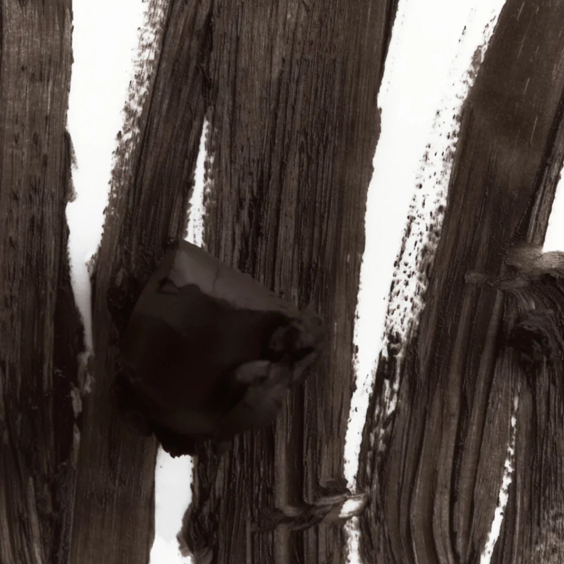 PEPTIDE LIP SHAPE MOVE